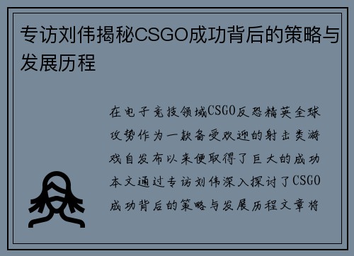 专访刘伟揭秘CSGO成功背后的策略与发展历程